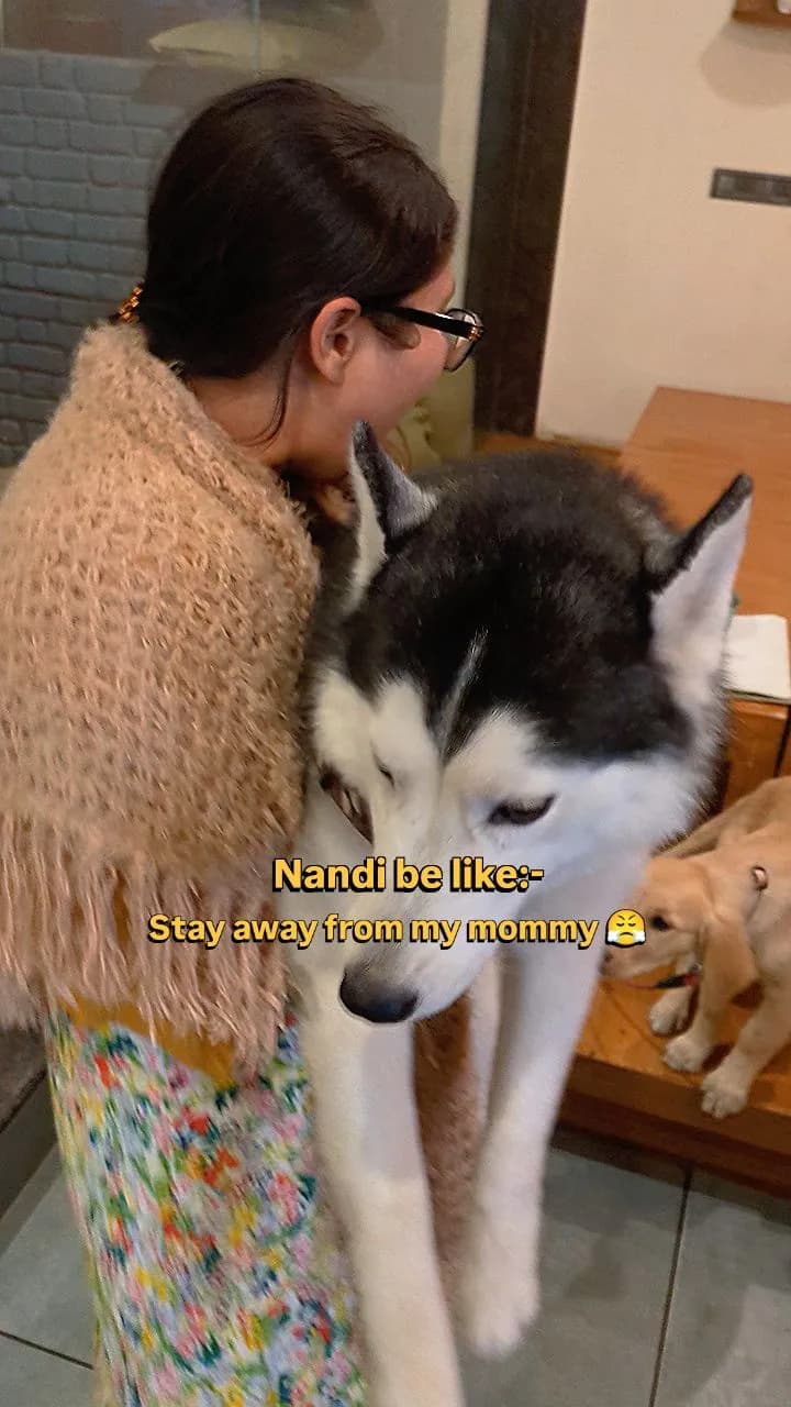 Woman hugging a husky at Pefeteria